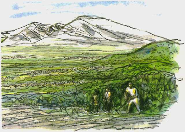 �ۉ��G�q�L�O�ف@���̊G���N���b�N���邩20�b��ɋL�O�قɓ���܂��B